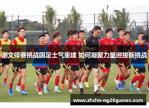 谢文停赛挑战国足士气重建 如何凝聚力量迎接新挑战