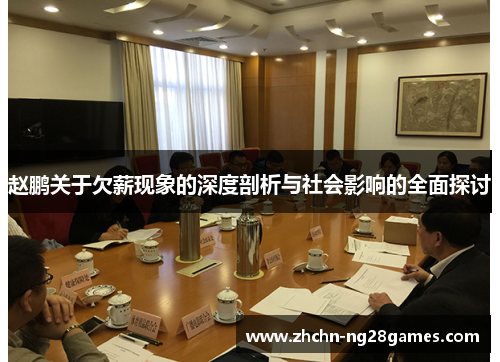 赵鹏关于欠薪现象的深度剖析与社会影响的全面探讨